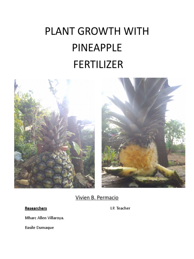 Plant Growth With Pineapple Fertilizer Vivien B. Permacio PDF