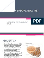 Retikulum Endoplasma (Re)