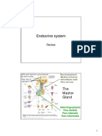 Endocrine System Review PDF