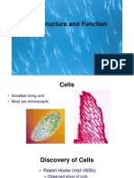 Cell Structure and Function