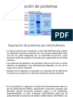 Separación de Proteínas