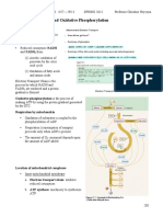 Electron Transport and Oxidative Phosphorylation Lectures