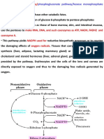 Pentose Phosphate Pathway/: Phosphogluconate Pathway/hexose Monophosphate Pathway