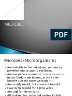 Other Microbes
