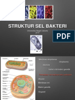 4. Struktur Sel Bakteri