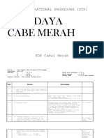 SOP_Budidaya_Cabe.docx