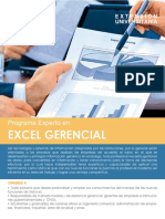 Experto Excel Gerencial.pdf