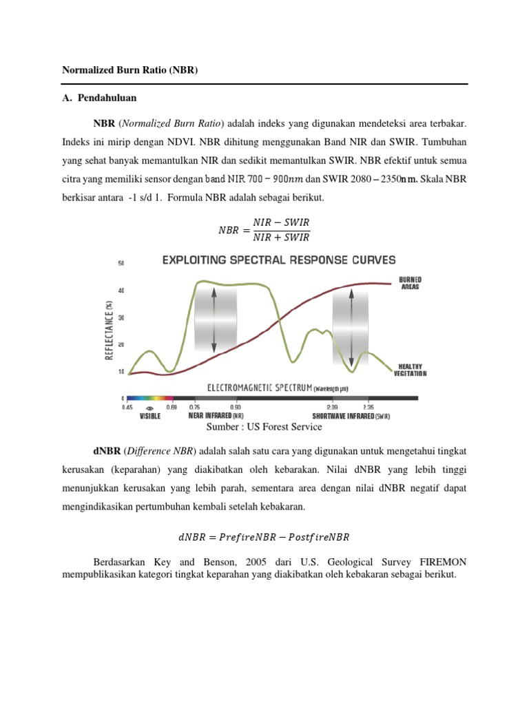 Indeks Normalized Burn Ratio (NBR) | PDF