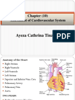 Chapter (10) : Assessment of Cardiovascular System