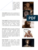 Evolución humana desde Australopithecus a Homo sapiens