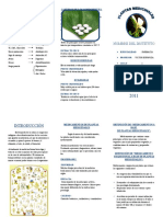 MODELO TRIPTICO.doc