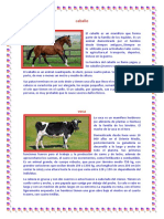 Descripcion de Animales