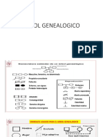 Arbol Genealogico