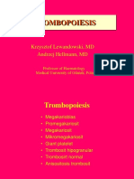 Trombopoiesis