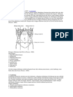 Anatomi Abdomen