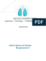 Sistema Respiratorio Eng Final Professora