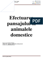 Pansajul-La-Animale-Domestice.pdf
