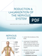 Introduction & Organization of The Nervous System: Marlene Ricci Castillo, MD, FPCS, Fpsgs