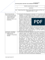 Formato EI para el evaluador y observador 2009.doc