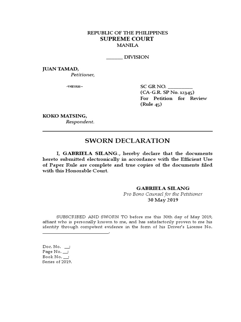 Petition for Review in Supreme Court | PDF