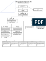 Struktur Organisasi Ok Ibs