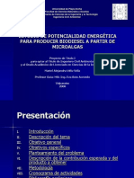 Biodiesel de Microalgas