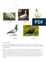 Pascual 1) Classification of Poultry