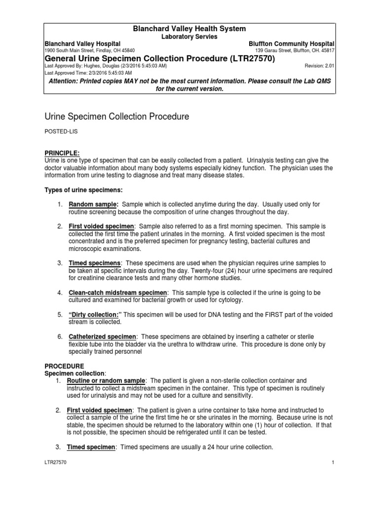 General Urine Specimen Collection PDF Urine Renal Function