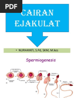 Lover sikiklari cuckold