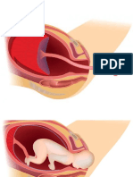 Psicología Imprimir