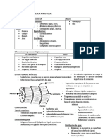 Resumen Mar Pep 1