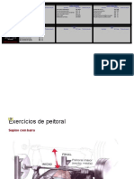 Exercicio de Musculaçao