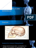 Materi Kuliah Fisioterapi