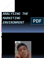Analysing The Marketing Environment
