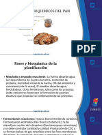 Procesos Bioquimicos Del Pan