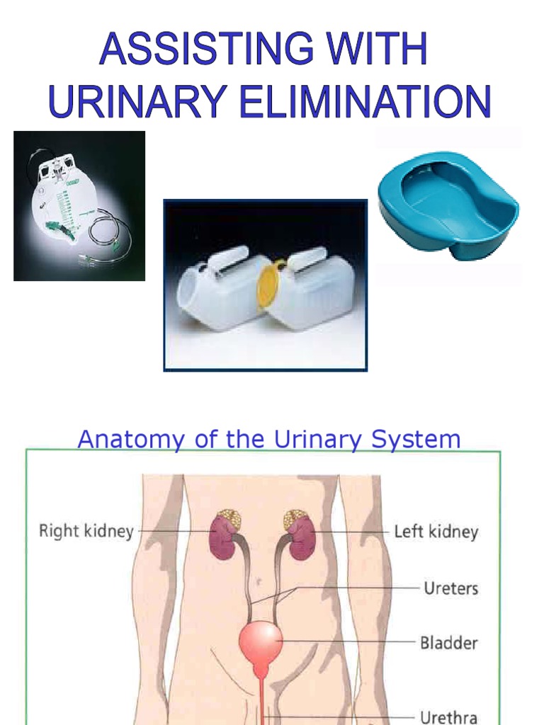 Urinary Catheterization Procedures Guide | PDF | Urinary Incontinence ...