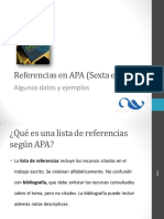 APA.pdf