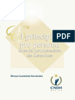 Principio-Propersona-Ponderacion-Derechos.pdf