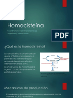 Homocisteina