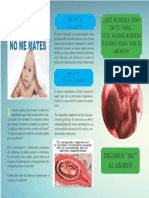 El Aborto Afiche