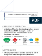 Lesson 28: Bionergetics Utilization of Energy