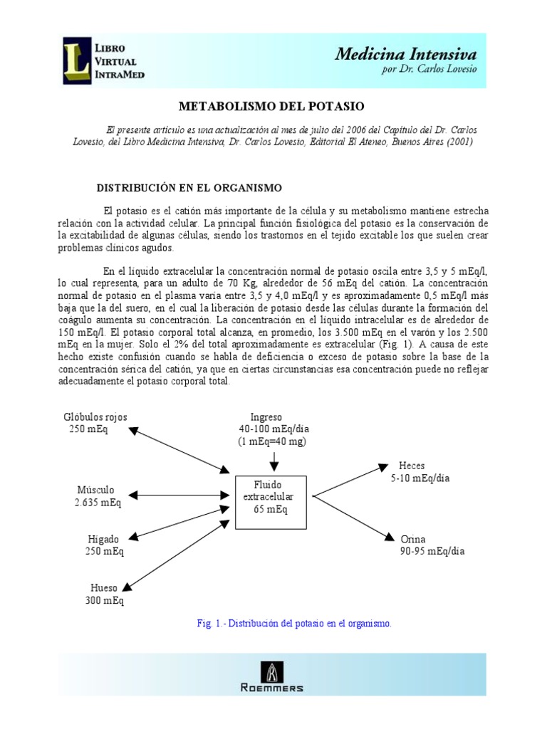 Metabolismo del Potasio en el Organismo | PDF | Potasio | Dieta y nutrición