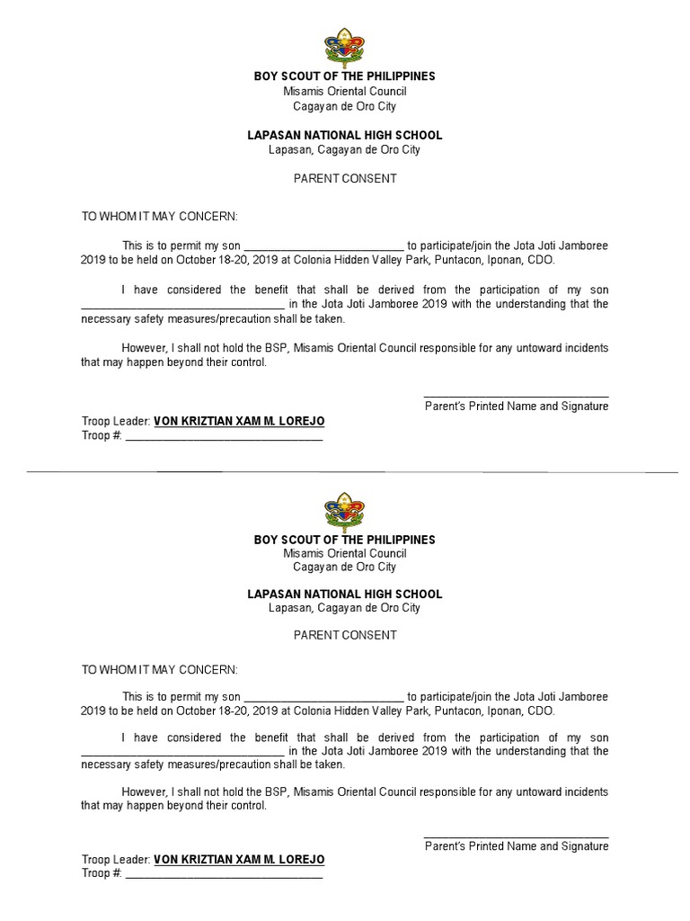 boy-scout-of-the-philippines-parent-consent-youth-movements-boy