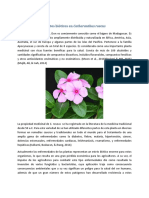 Efectos Bióticos en Catharanthus Roseus