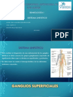 Sistema Linfático