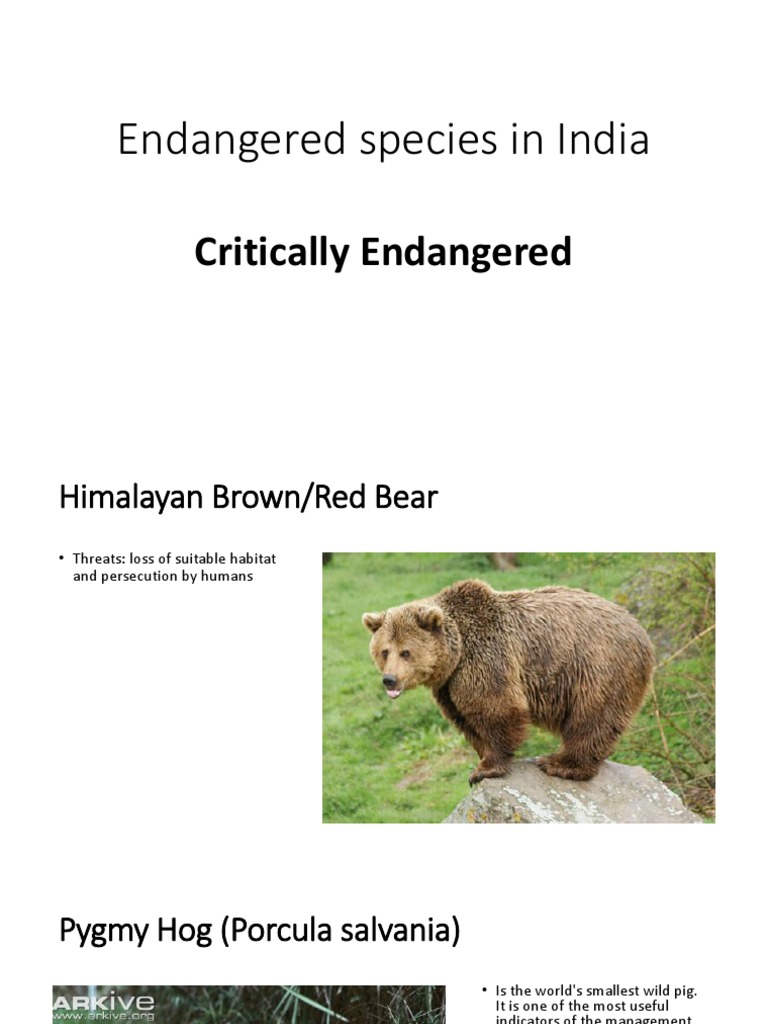 Critically Endangered Species in India | PDF | Himalayas | Fauna Of Asia
