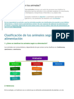 Clasificacion de Los Alimentos de Animales