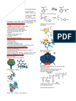Revisi DPO PDF
