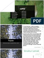 Diskusi Praktikum LIPID