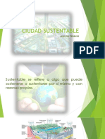 CIUDAD SUSTENTABLE Unidad III.pdf